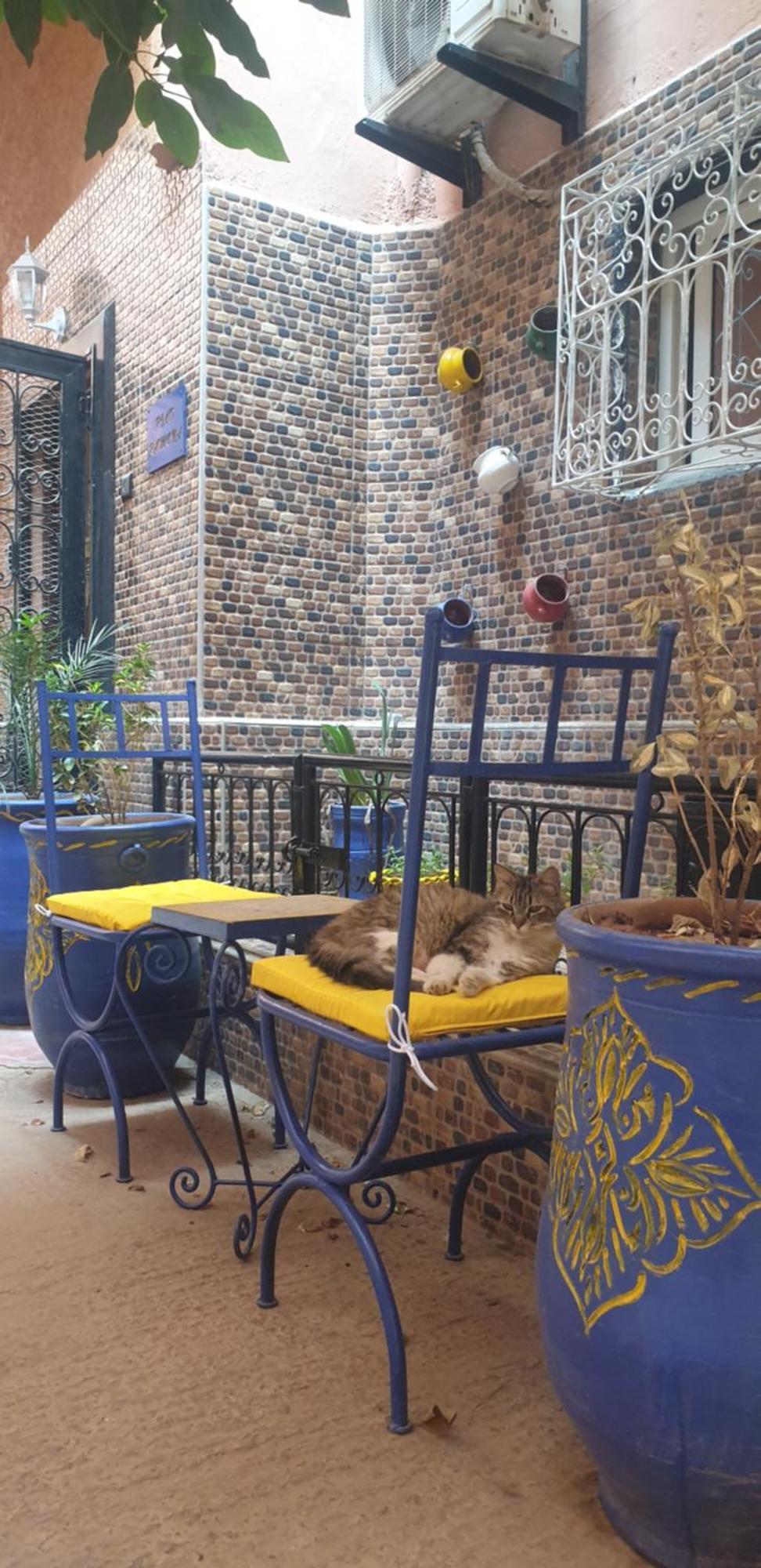 מרקש Riad Ramona Lqariya Seyaheya מראה חיצוני תמונה